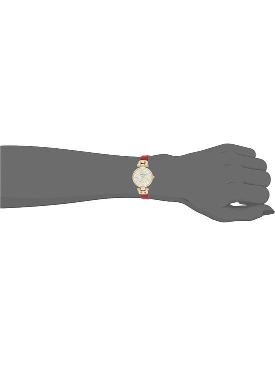 Anne Klein Women\'s Gold Red Leather Strap Fashion Analog Japanese Quartz Watch main image 7